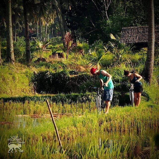 Bk Homestay, Batukaras Buitenkant foto