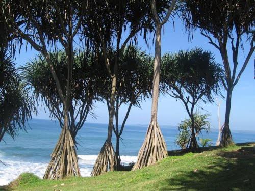 Bk Homestay, Batukaras Buitenkant foto